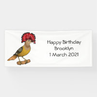 Royal flycatcher bird cartoon illustration