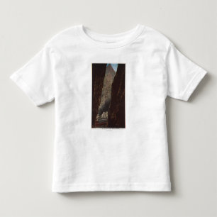 Royal Gorge, CO - View of a Crevice in Royal Toddler T-Shirt