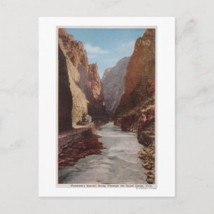 Royal Gorge, CO - View of Train , River Postcard