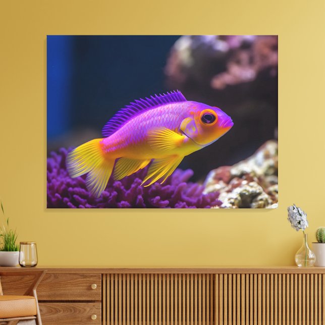 royal gramma basslet fish canvas print (Insitu(LivingRoom))