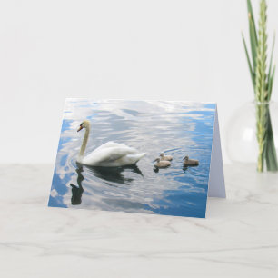 Royal Mute Swan and Cygnet  Folded Greeting Card
