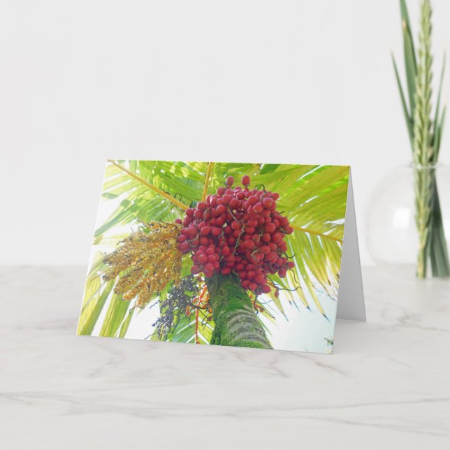 Royal Palm Fruit Holiday Card (Front)