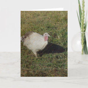 Royal Palm Turkey Card