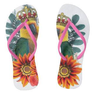 Royal Parrots Love Flip Flops