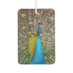 Royal Peacock with Teal Gold and Blue Plumage Car Air Freshener