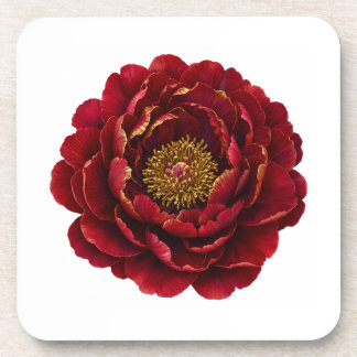 Royal Persian Gold Filigree | Luxury Botanical Coaster