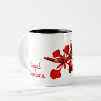 Royal Poinciana Flower Mug