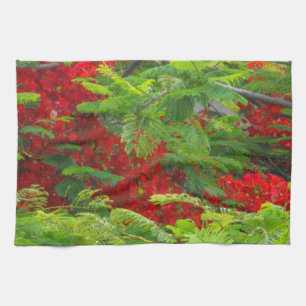 Royal Poinciana Tea Towel