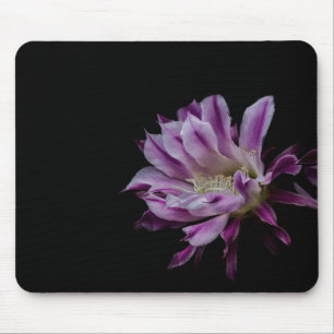 Royal Purple and White cactus bloom Mouse Mat