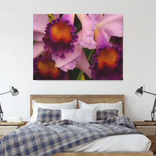 Royal Purple Cattleya Orchid Canvas Print