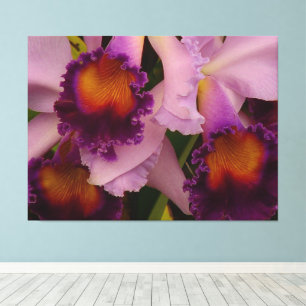 Royal Purple Cattleya Orchid Canvas Print