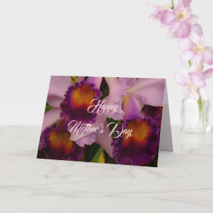 Royal Purple Cattleya Orchid Mother's Day Card