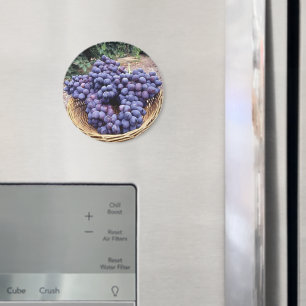 Royal Purple Grapes Magnet