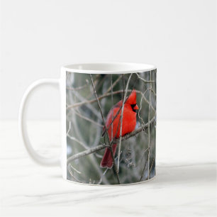 Royal Red Cardinal Mug