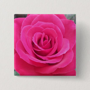 Royal Red Rose 15 Cm Square Badge