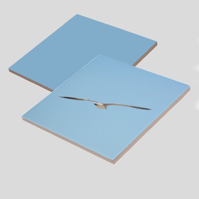 Royal Tern in Flight Blue Sky Coastal Tile (1 of 7 coordinating bird in flight coastal sky blue ceramic tiles)