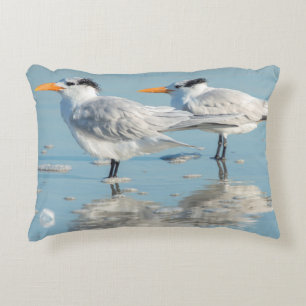 Royal Terns on beach Decorative Cushion