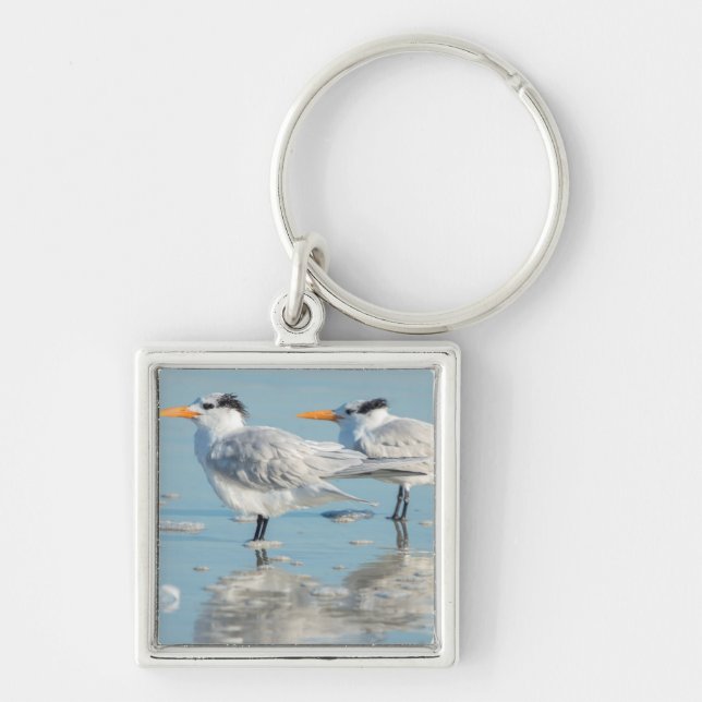 Royal Terns on beach Key Ring (Front)