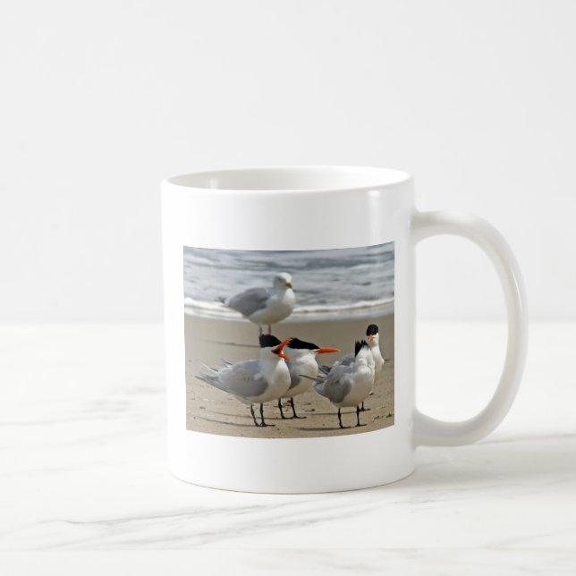 Royal Terns Photo Coffee Mug (Right)