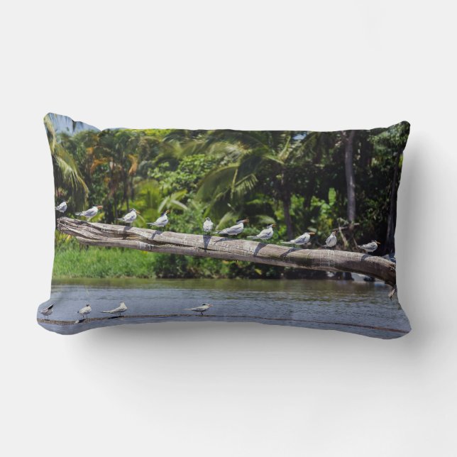 Royal terns, Tortuguero river estuary - Costa Rica Lumbar Cushion (Front)