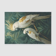 Royalty in White, Tropical Cockatoo Pair with Gold