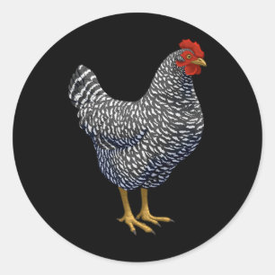 Rred Plymouth Rock Hen Chicken Lover Classic Round Sticker