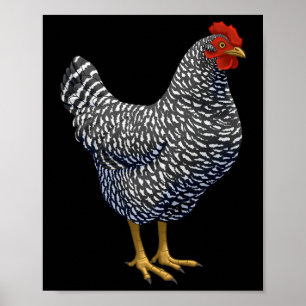 Rred Plymouth Rock Hen Chicken Lover Poster