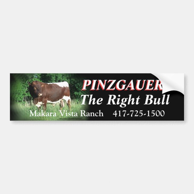 RRF2-rhtbl-Bumpersticker-customise Bumper Sticker (Front)