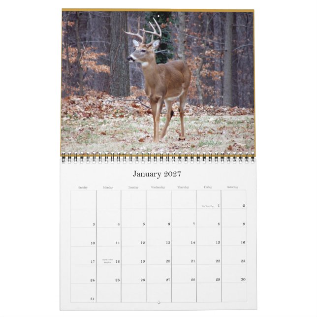 rSEANd - Nature Calendar (Jan 2027)