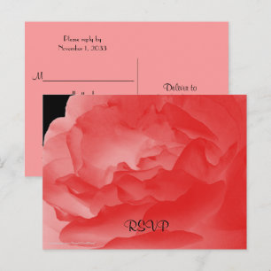 RSVP, Elegant Coral Pink Rose Floral  Invitation Postcard