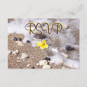 RSVP Guest Reply Enclosure Seashells, Plumeria Card