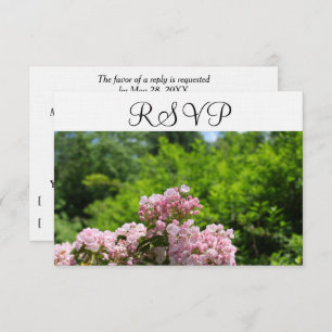 RSVP Pink Mountain Laurel Flowers
