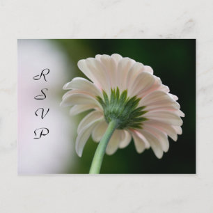 RSVP Postcard