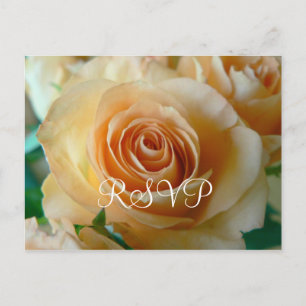 RSVP Postcard