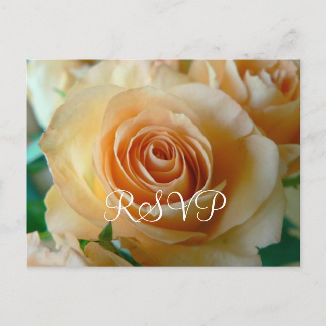 RSVP Postcard (Front)