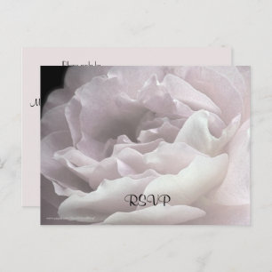 RSVP Postcard, Any Occasion Invitation Postcard