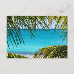 RSVP Tropical Beach framed with Palm Fronds