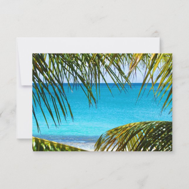 RSVP Tropical Beach framed with Palm Fronds (Front)