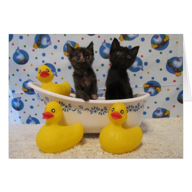 Rub A Dub Dub Kitties and Ducks in a Tub (Front Horizontal)