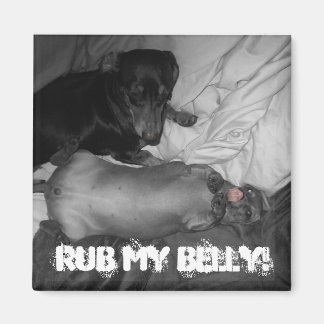 Rub my belly! magnet