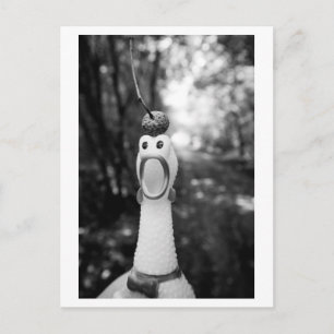 Rubber Chicken in the woods Postcard