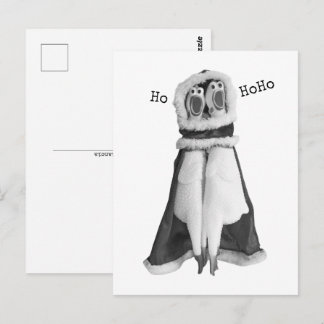 Rubber chicken Santa Postcard