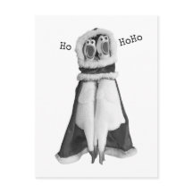 Rubber chicken Santa Postcard