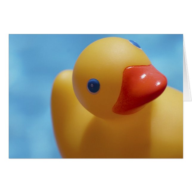 Rubber Duck Close-Up (Front Horizontal)