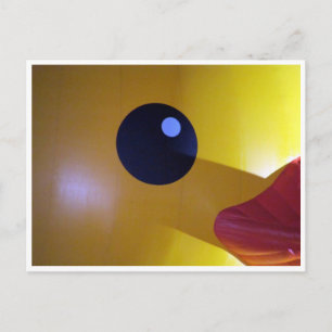 rubber duck eye postcard