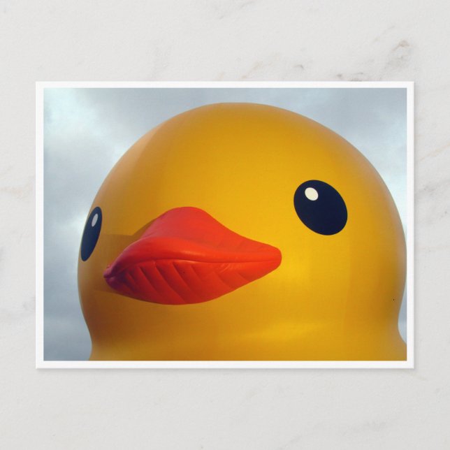 rubber duck head postcard (Front)