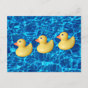 Rubber Ducks in a Row, Swimming Pool Water Postcard