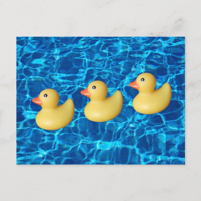 Rubber Ducks in a Row, Swimming Pool Water Postcard (Front)