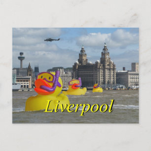 Rubber Ducks On The Mersey Postcard