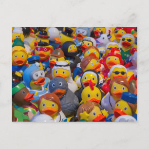 Rubber Ducky Parade Postcard